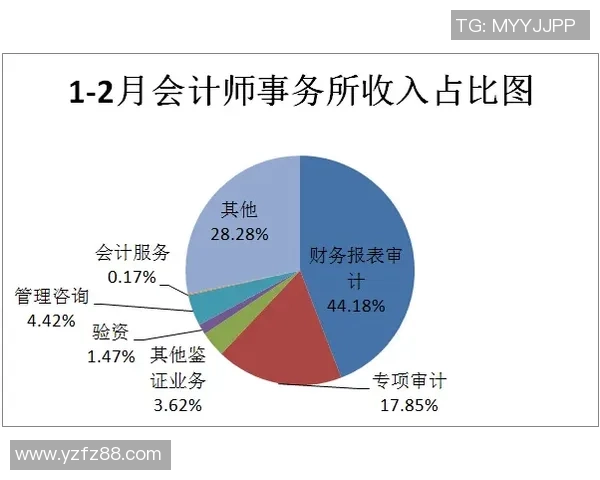 足球行业中的避税策略与财务透明度的探讨与反思